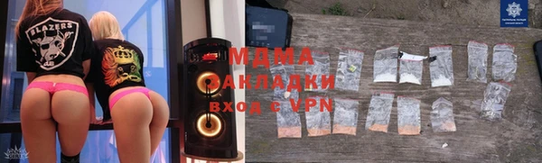 гашик Алексин