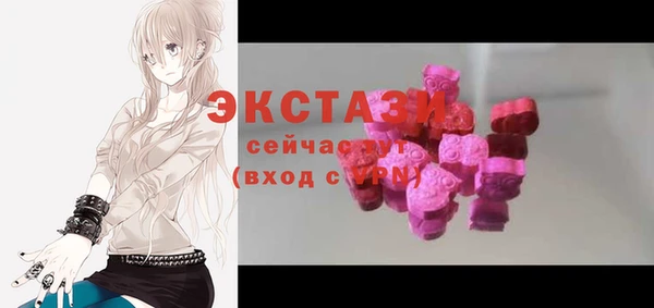 гашик Алексин