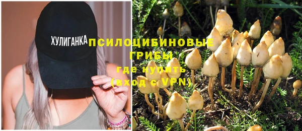 гидропоника Абаза