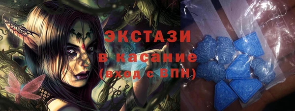 гашик Алексин