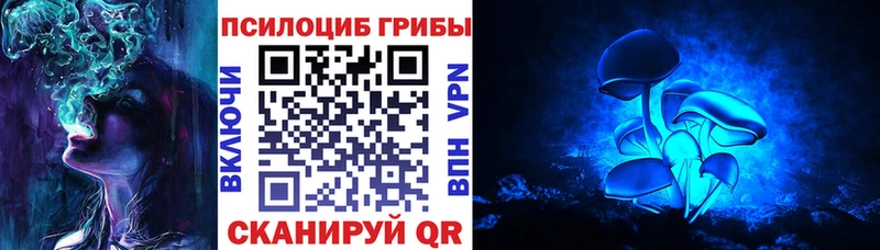 Псилоцибиновые грибы мицелий Мостовской