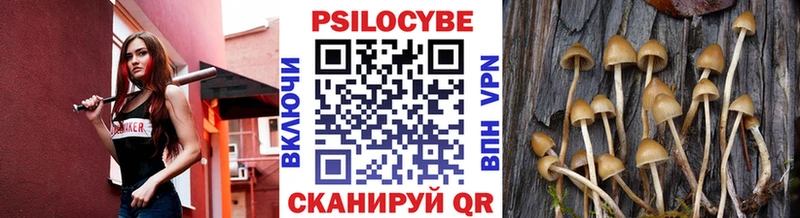 Галлюциногенные грибы MAGIC MUSHROOMS гидра как зайти Мостовской